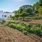 Villa Remi - Plusholidays